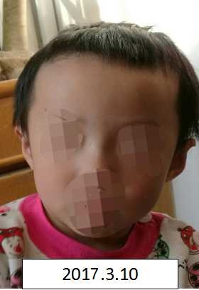 黄片吊逼视频